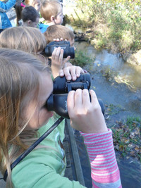 Students look through binoculars on a field study